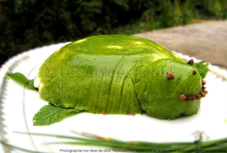 Une tortue dans mon assiette ! | Terrine fraîcheur de faisselle de fromage de chèvre, menthe et courgettes…