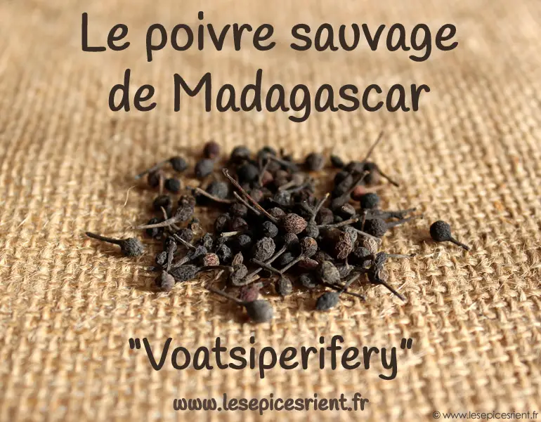Poivre Voatsiperifery Sauvage de Madagascar - Etal des Epices