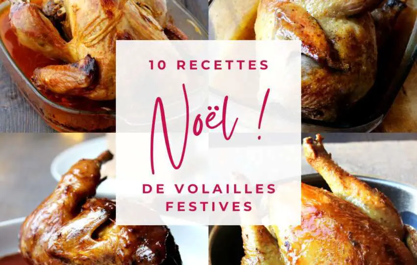 10 recettes de volaille de Fêtes